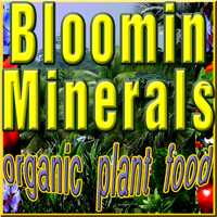 Bloomin Minerals  Bible F2
